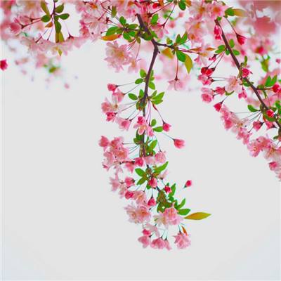 B体育登录APP下载